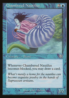 Chambered Nautilus